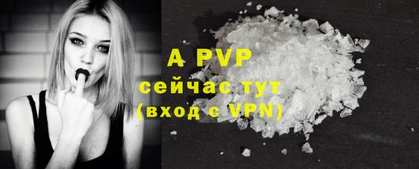 твердый Пересвет