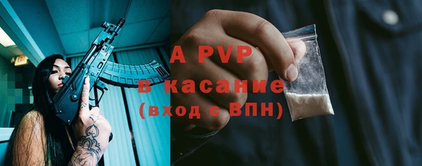 твердый Пересвет