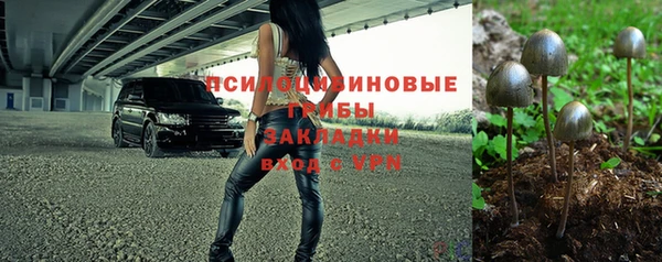 2c-b Пикалёво