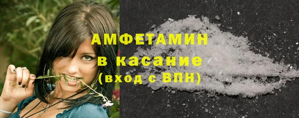 твердый Пересвет