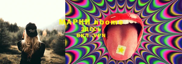 твердый Пересвет