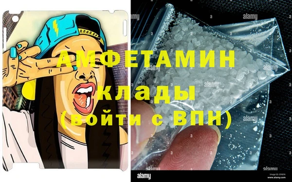 твердый Пересвет