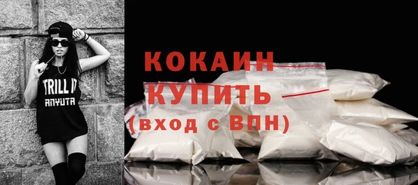 твердый Пересвет